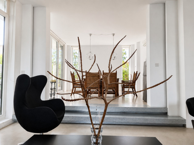 detachedHouse-chatgpt-image-jun-19-2026-11-59-09-am.png