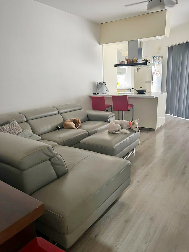 apartment-whatsapp-image-2025-03-27-at-131603-2-copy.jpeg
