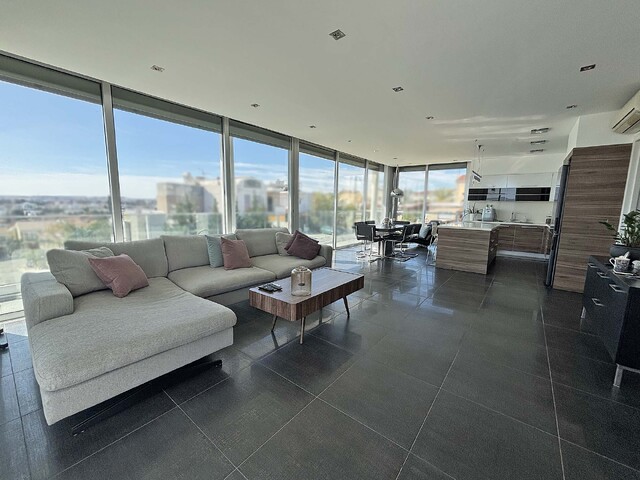 penthouse-img-4499-copy.jpeg