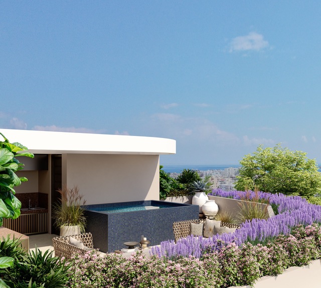 penthouse-04-kinnis-greco-roofgarden-02-302-large.jpg