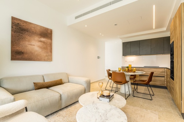apartment-living-kitchen-large.jpg