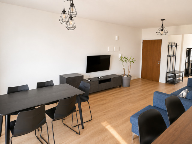 Fully Furnished Renovated Apartment – photo 7
