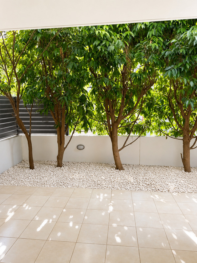 apartment-chatgpt-image-jul-21-2026-12-22-37-pm.png