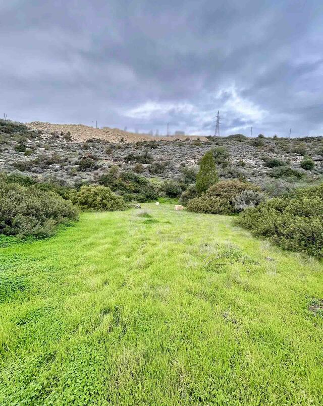 land-30318123b10bcc1617ccaf6ccea1cb4f-copy.jpeg