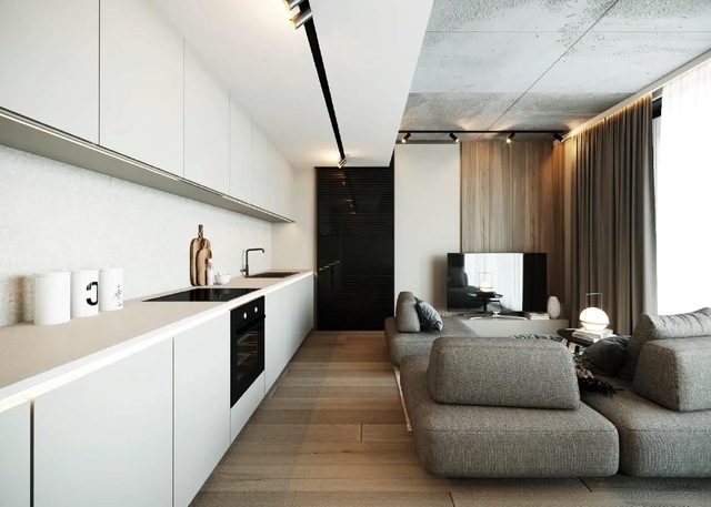 apartment-gall-10-large.jpeg