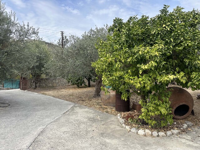 detachedHouse-img-7562-copy.jpg