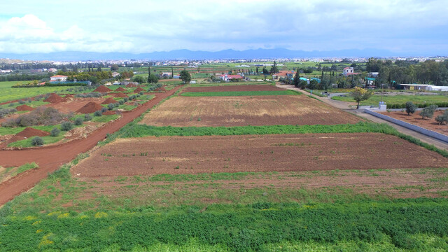 plot-deftera-lapatsa.jpg