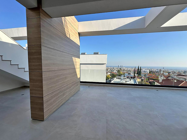 penthouse-2-copy.jpeg