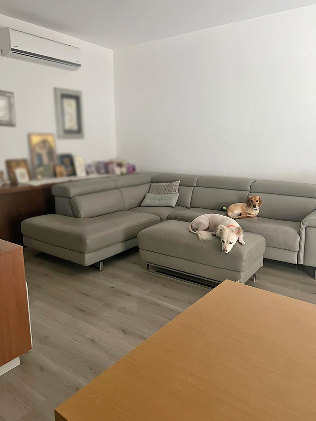apartment-whatsapp-image-2025-03-27-at-131605-2-copy.jpeg