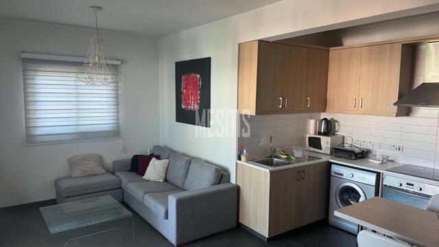 Ready to Move In!
1 Bedroom Apartment for Rent in Makedonitissa Area,Close to St. Panteleimonas Church – photo 3