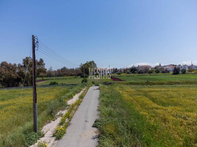 plot-26d9e9ca-2c1a-4233-81d4-5f4b6d18ff66_Wtr.jpg
