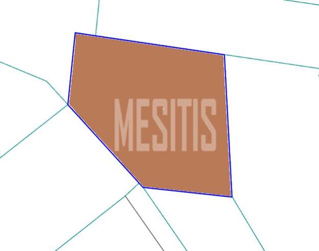 plot-d74200c7-8ef0-47e6-bf81-e294a172a88a_Wtr.jpg
