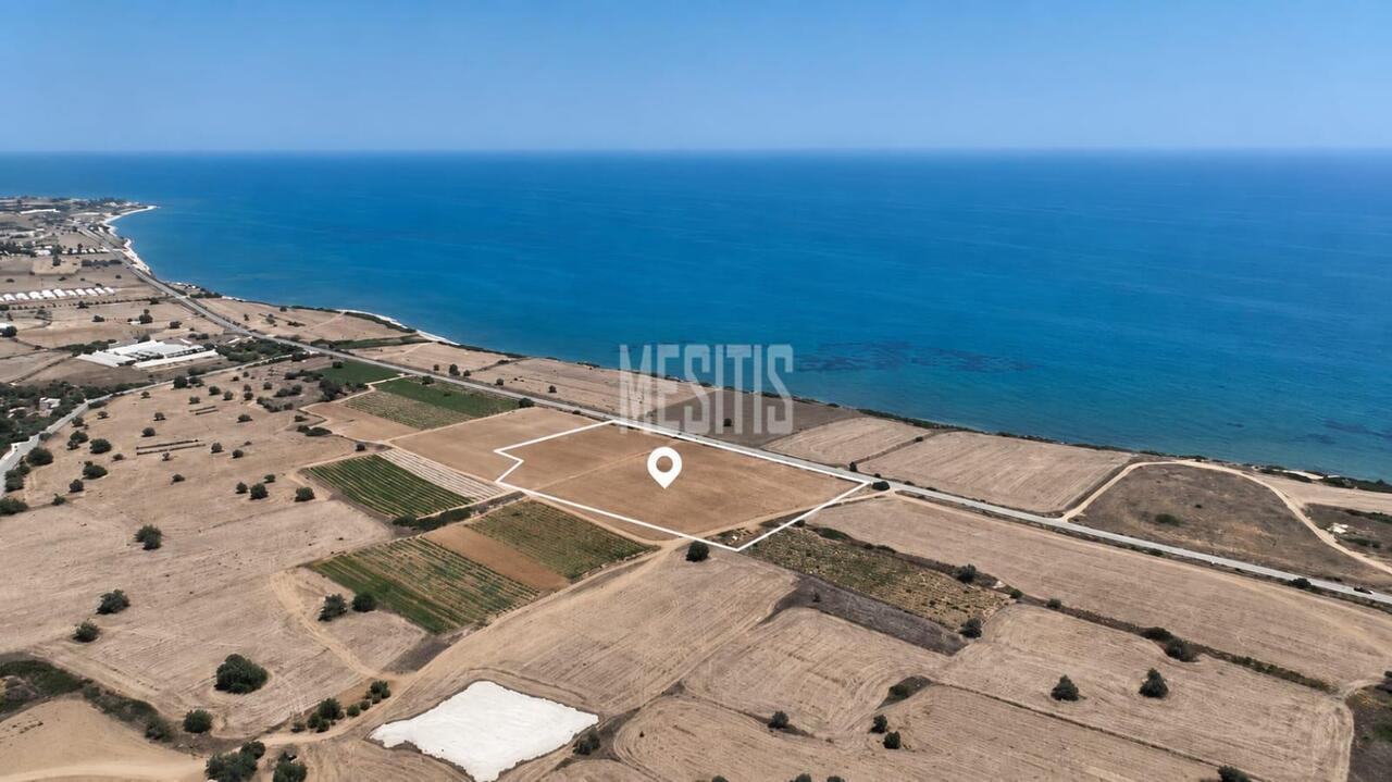 Field For Sale in Maroni, Larnaca – photo 1