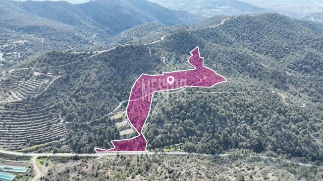 land-93d95ceb-e33a-4273-9296-54ff19949cd6_Wtr.jpeg