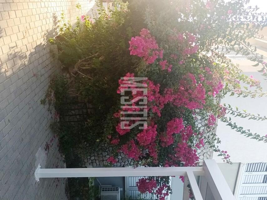 detachedHouse-b5f0ec2a-c90e-4d3e-bad0-7aef3bf7a009_Wtr.jpeg