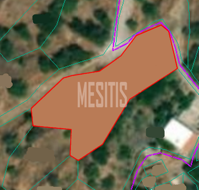 plot-ce137ed6-ddba-492a-aab0-3d52f5ee36ad_Wtr.png