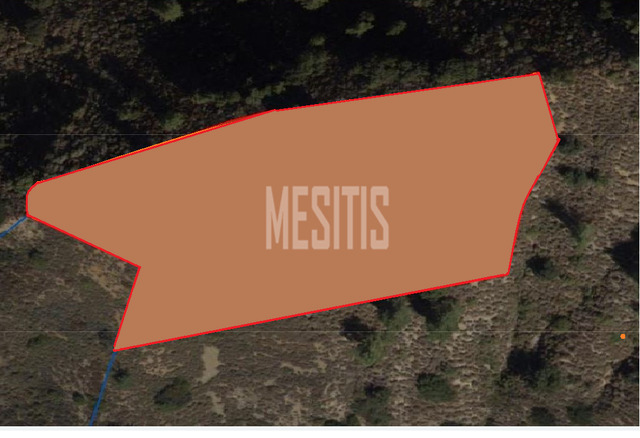 land-86fa351b-7510-48bc-89ce-03423df92f6a_Wtr.png