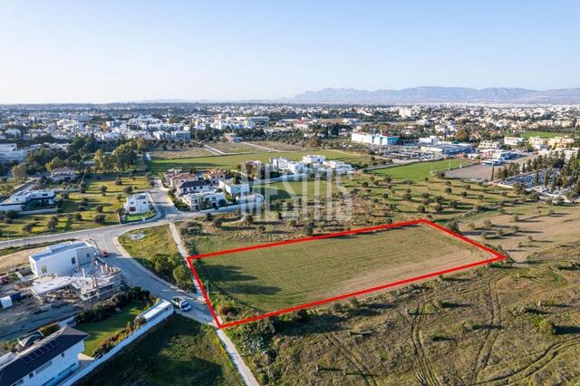 Shared field in Chryseleousa, Strovolos – photo 1
