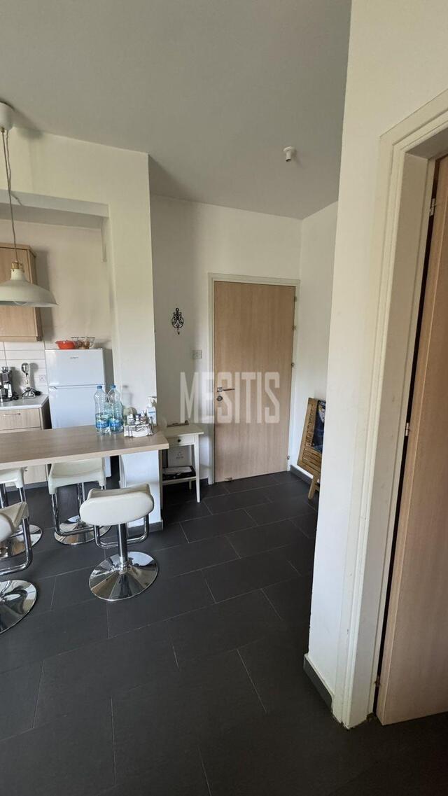 Ready to Move In!
1 Bedroom Apartment for Rent in Makedonitissa Area,Close to St. Panteleimonas Church – photo 6