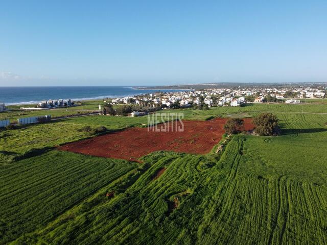 plot-5777a0e2-8809-4d4f-bf2e-9fe191bc9cf1_Wtr.jpg