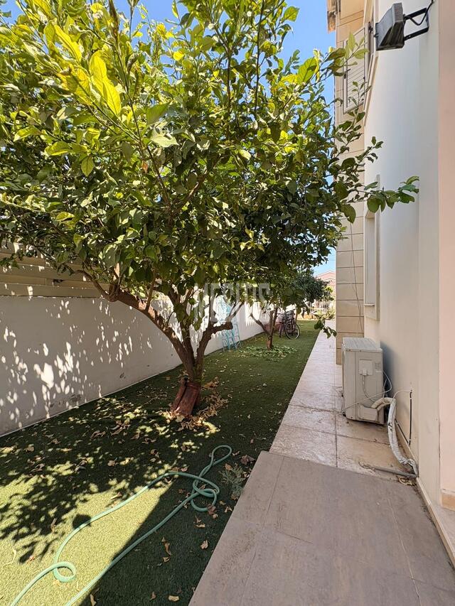 Beautiful 3 Bedroom Detached Villa with Private Pool for Rent in Faneromeni, Larnaca – photo 6