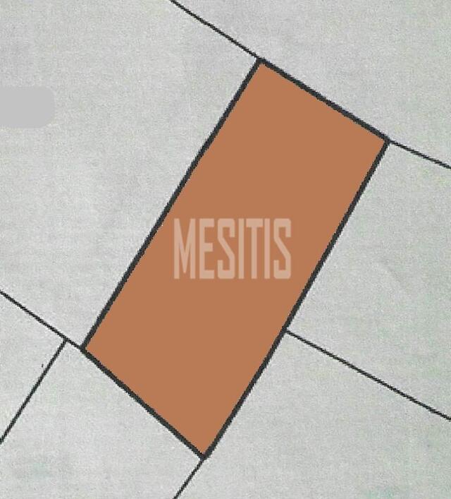 plot-45d454a9-d6b6-49a5-9228-732088a15eab_Wtr.jpeg