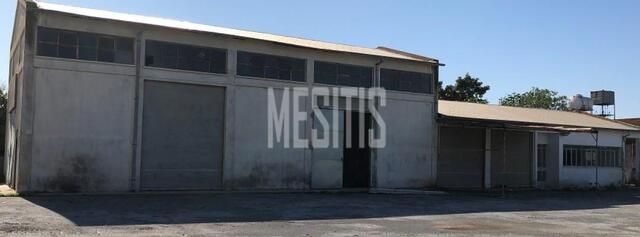 warehouse-075faeae-10c2-4f79-aa45-9e2e26eb0195_Wtr.jpg