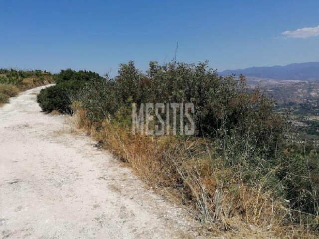 Field 11706 Sq.m. For Sale In Theletra, Paphos – photo 4