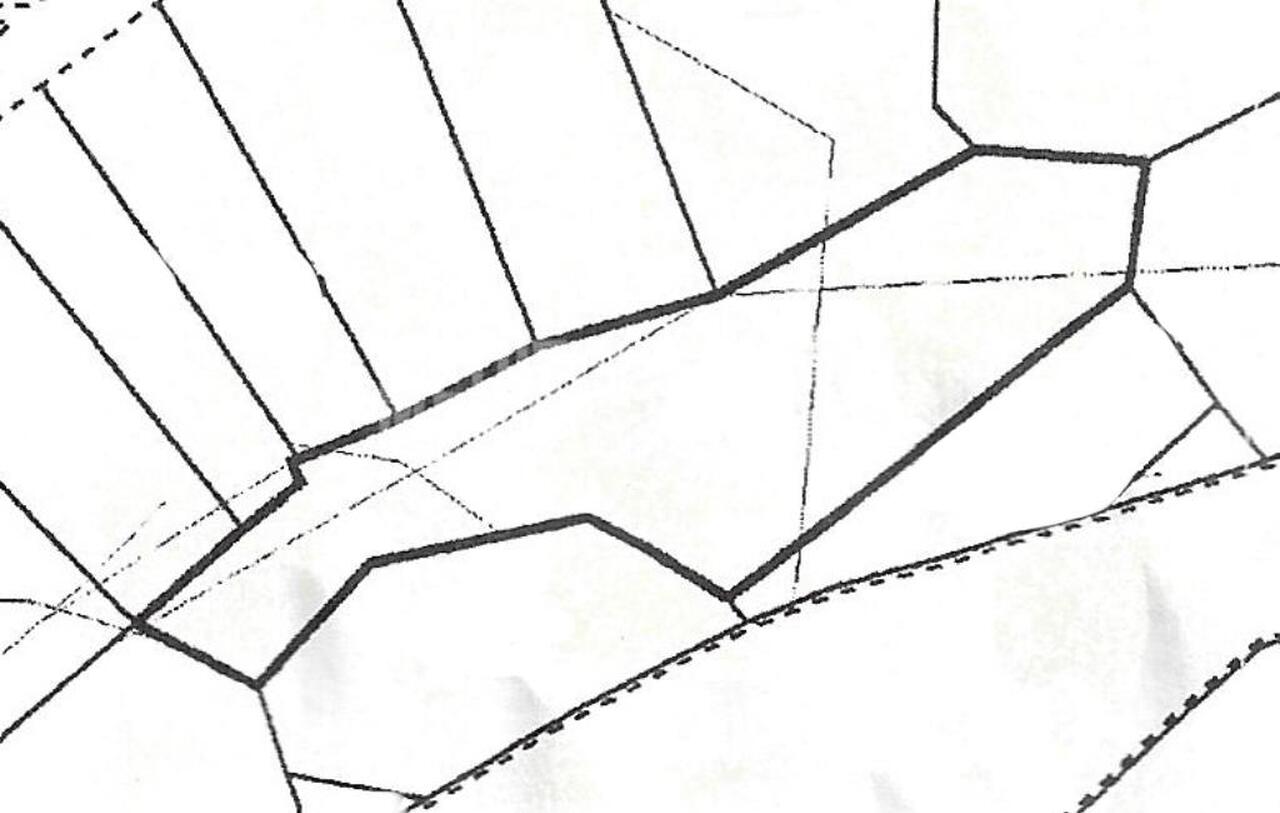 plot-045fc184-9cbb-437b-9d8f-29e3b41ebdca_Wtr.jpeg