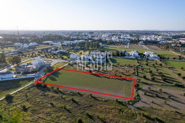 Shared field in Chryseleousa, Strovolos – photo 2