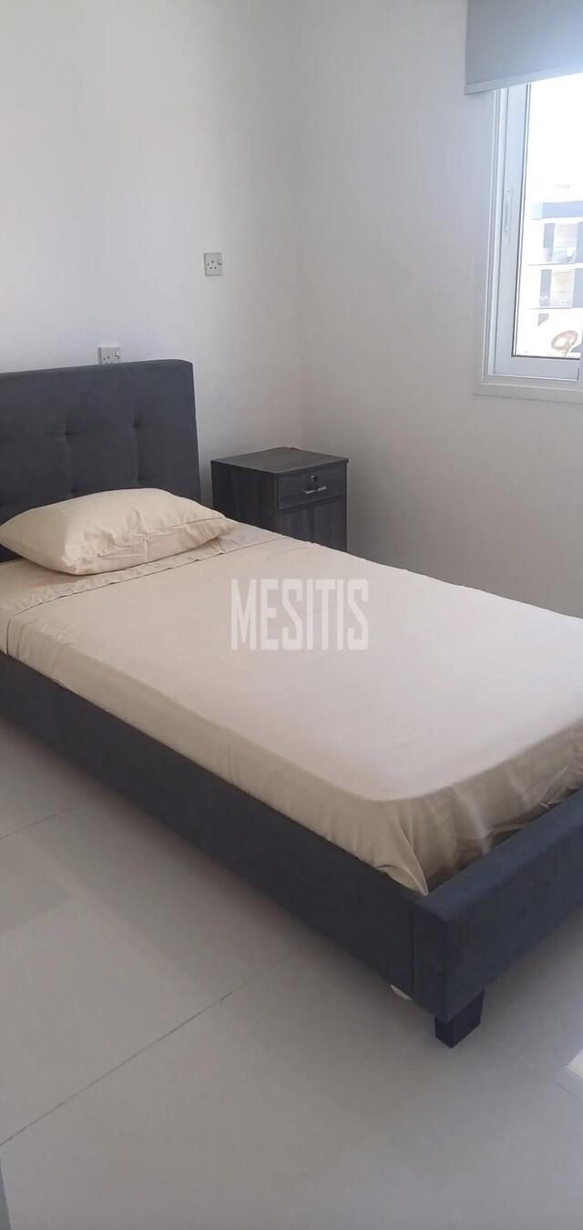 apartment-d817c183-dd29-4f7a-9533-959e535bee1e_Wtr.jpg