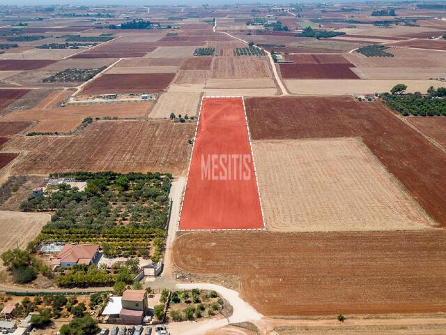land-e5beff63-64e9-4ce0-99fb-7fe74efde7cd_Wtr.jpg