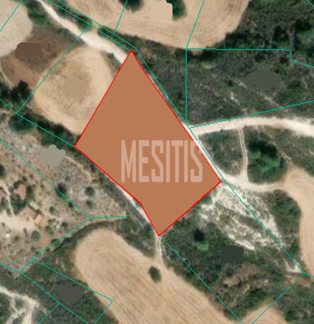 land-de6e1ec0-bb21-435e-be47-67daaf5648b7_Wtr.png