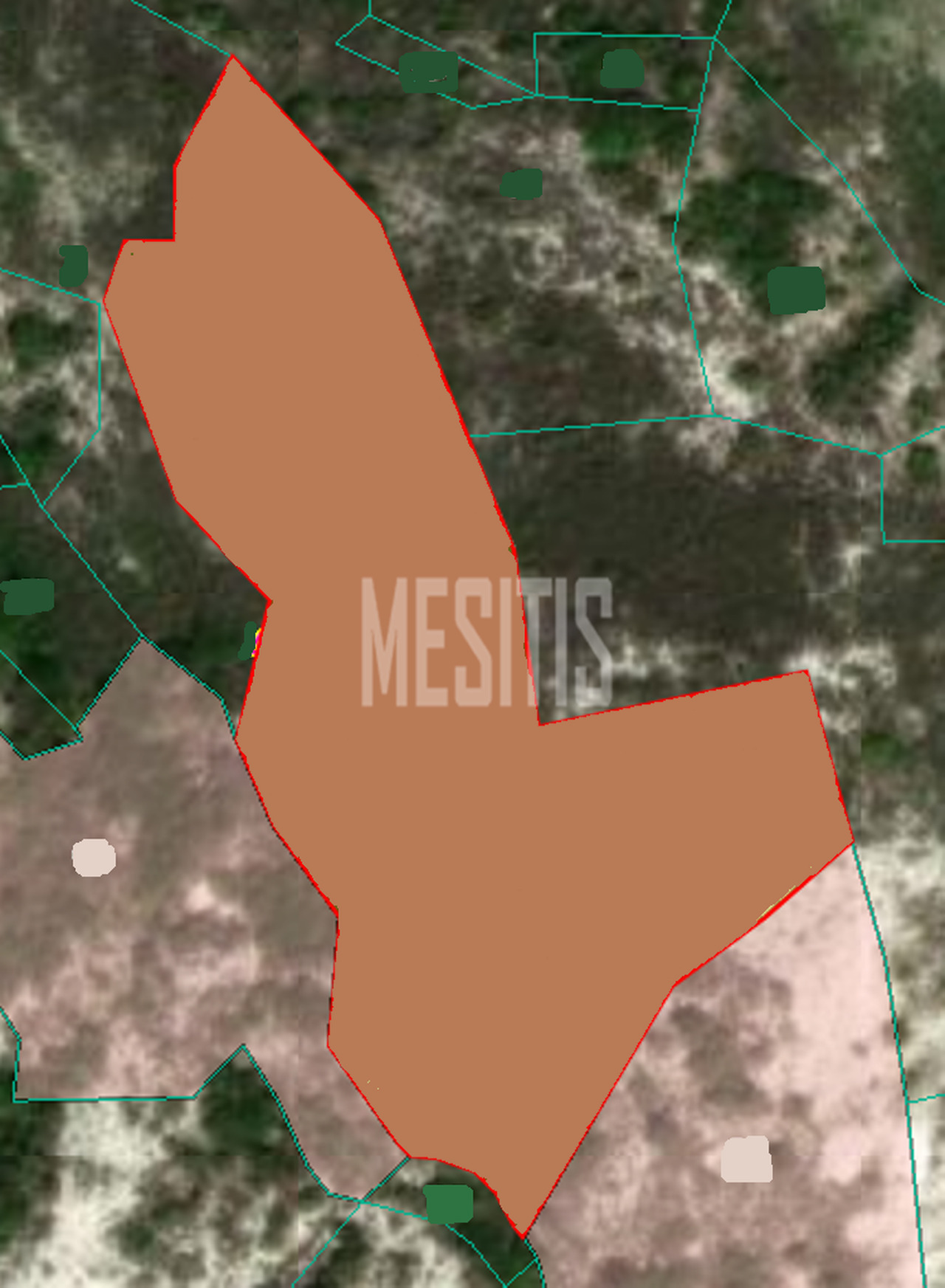 land-58bcbe7a-2041-46e1-9b02-0508fefcc6fa_Wtr.png