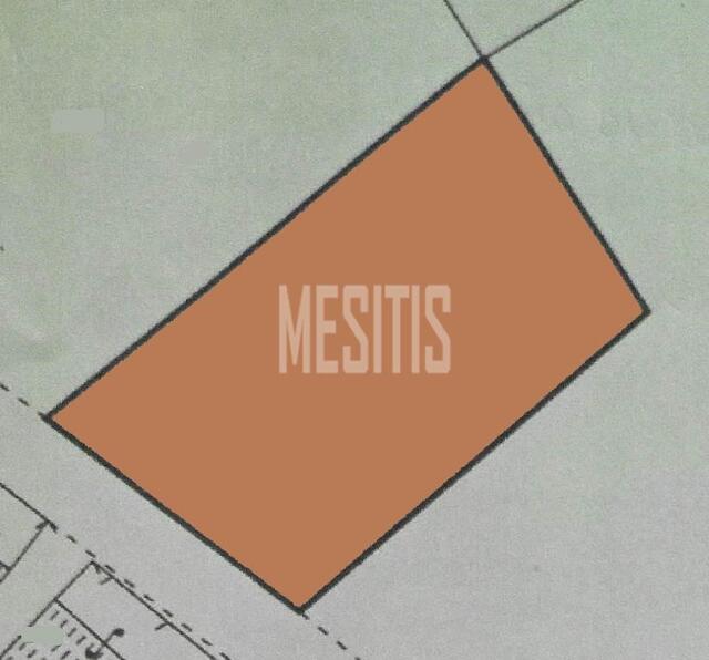 plot-7fea512e-d807-45da-a7a6-de1ed89e8a60_Wtr.jpg