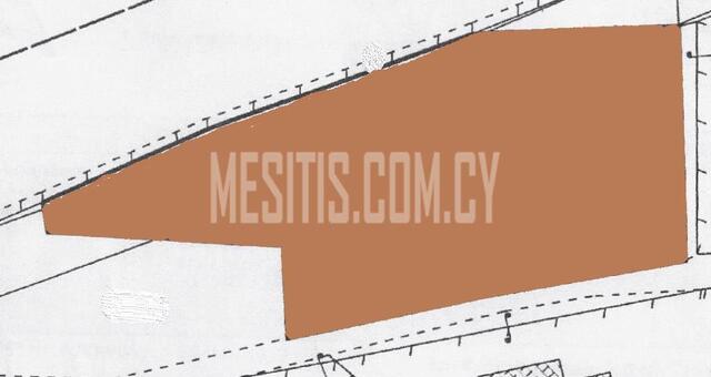plot-29fe9418-feb6-4222-b514-7e04a258d445_Wtr.jpeg