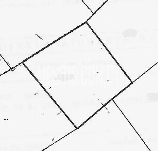 plot-1a5f7951-6a95-470e-8f39-aedca4281ada_Wtr.jpeg