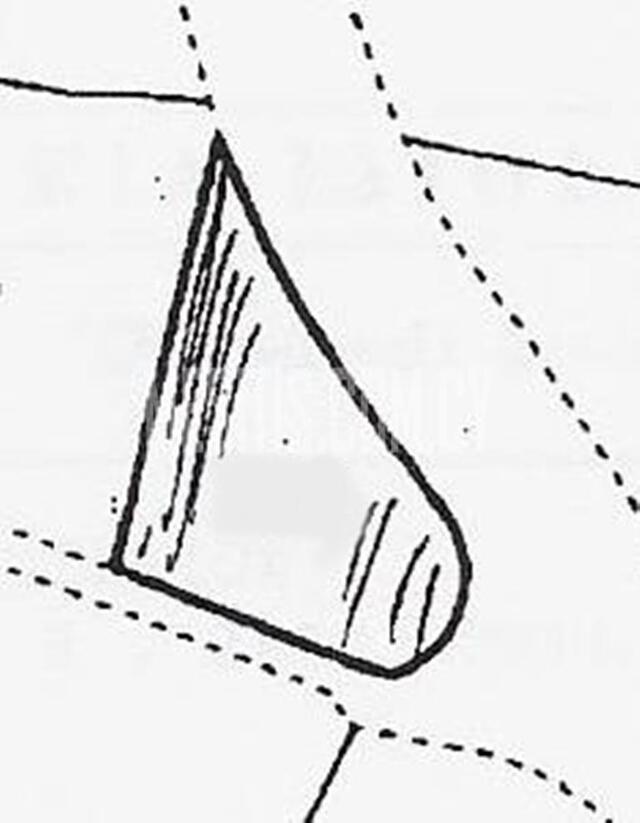 plot-308a5d32-a1d1-4ff8-9217-d6c19b37a4f0_Wtr.jpeg