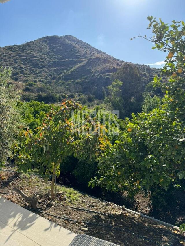 detachedHouse-ab140395-cf4a-432d-823d-18641d1c18fb_Wtr.jpg