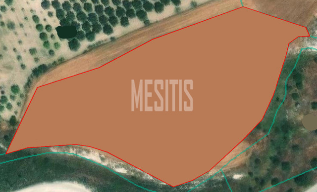land-663a4bad-6409-4d7c-8296-f3c2f0ef53ac_Wtr.png