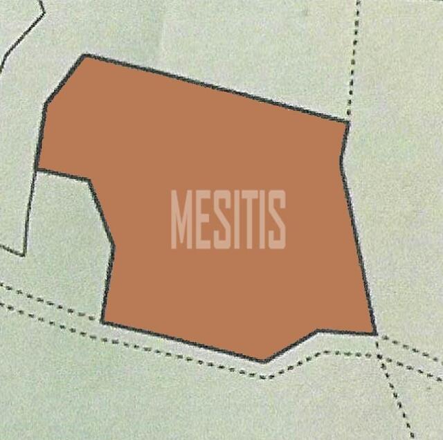 land-e841d859-9269-43fa-8f04-71eb6b8080c8_Wtr.jpeg