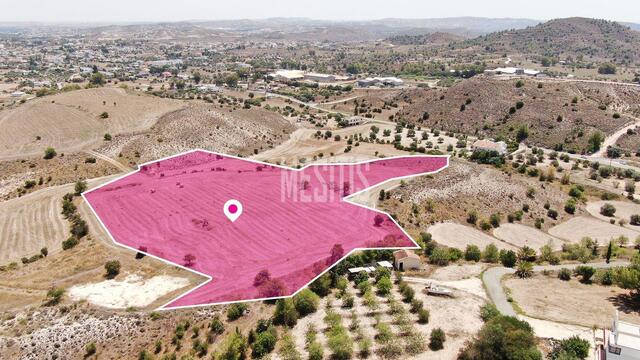 land-ce0f9d03-8694-4dd5-b09a-57d642a272b6_Wtr.jpg
