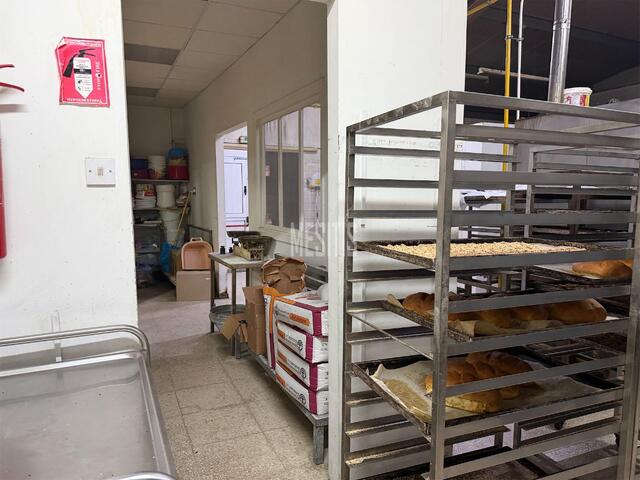 store-74edcead-5cda-44ba-a26c-b30a4dd4008e_Wtr.jpg