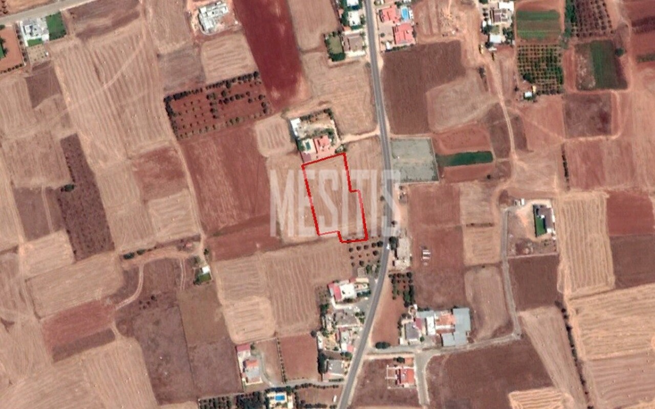 plot-a05ddba5-c079-4970-8bd3-424188df59b6_Wtr.jpeg