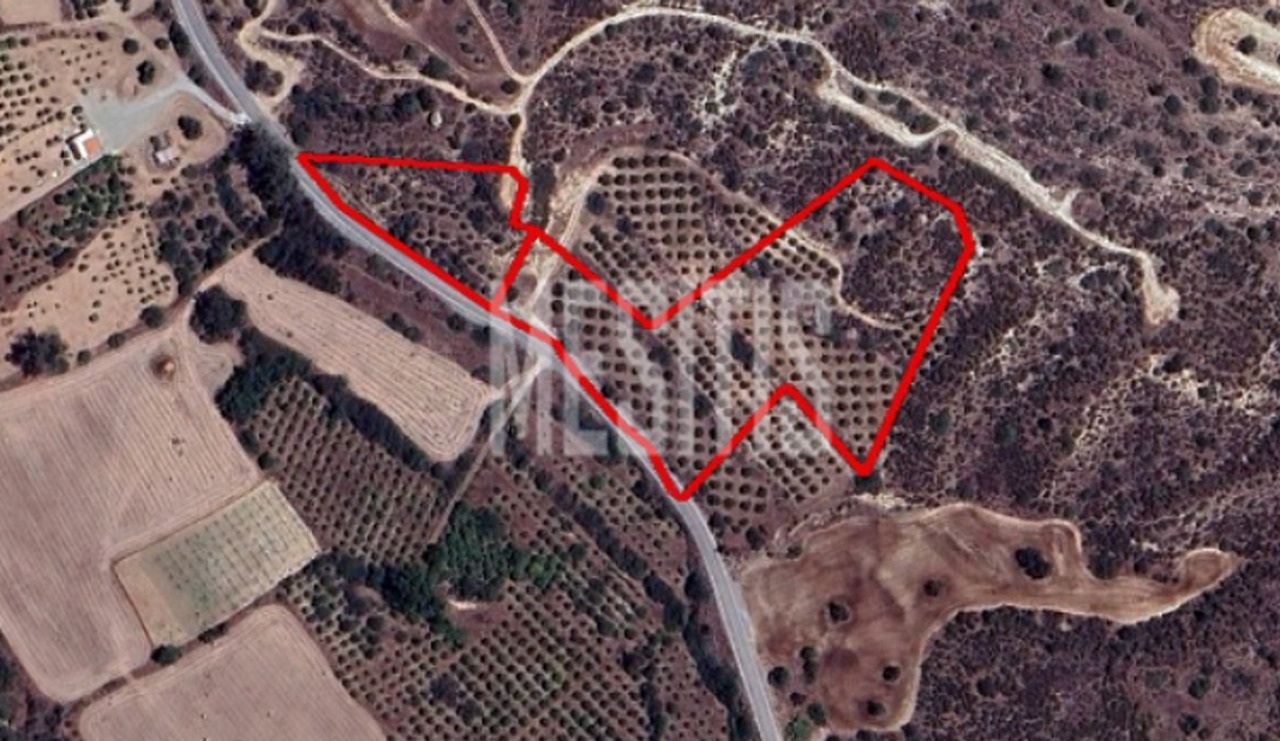 land-ca6775df-50bf-4ed9-8440-477203821663_Wtr.png