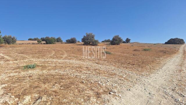 plot-a4781ee2-2245-4884-bb97-707cbec04140_Wtr.jpg