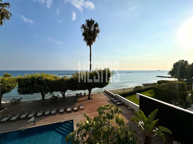 apartment-265e4f7e-da62-49d5-8322-138d2ee6566c_Wtr.png