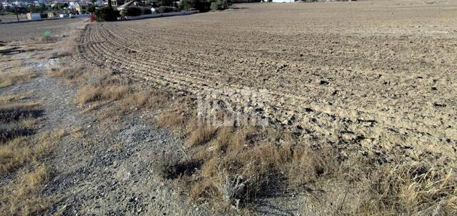 plot-eb81efeb-e4ef-4c7e-8449-98e151cd2678_Wtr.jpg