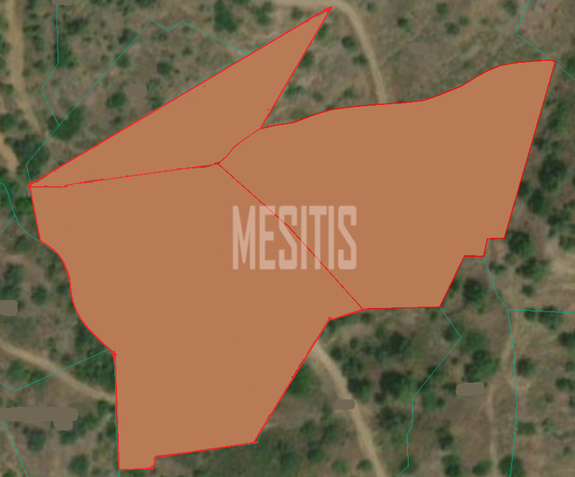 land-02b1eb23-ec25-4149-bece-6c28f4035e01_Wtr.png