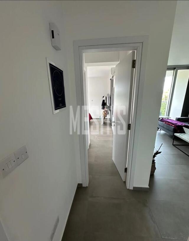 apartment-b98adc09-6652-4f1a-b072-656976aa8dda_Wtr.jpg